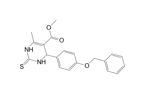 Methyl 4-[4-(benzyloxy)phenyl]-6-methyl-2-thioxo-1,2,3,4-tetrahydro-5-pyrimidinecarboxylate