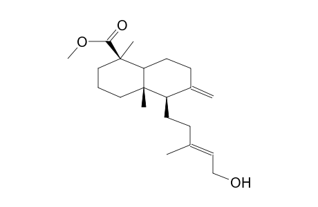 METHYLISOCUPRESSATE