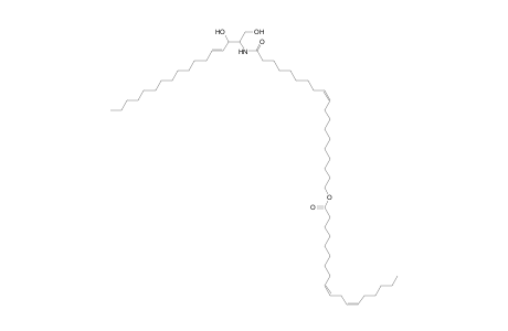 Cer 17:1;2O/19:1;O(FA 18:2)