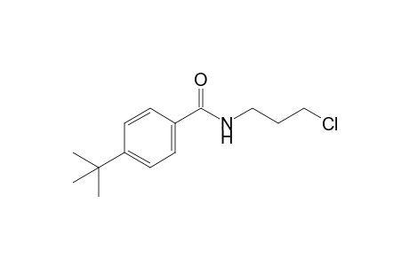 p-tert-butyl-N-(3-chloropropyl)benzamide