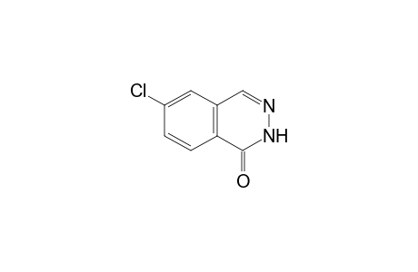 6-chloro-1(2H)-phthalazinone