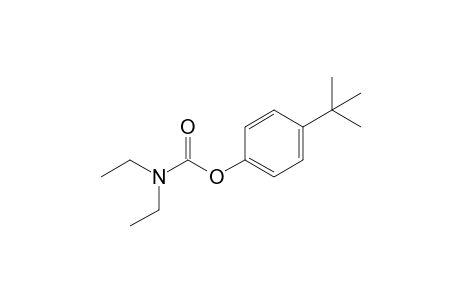 diethylcarbamic acid, p-tert-butylphenyl ester