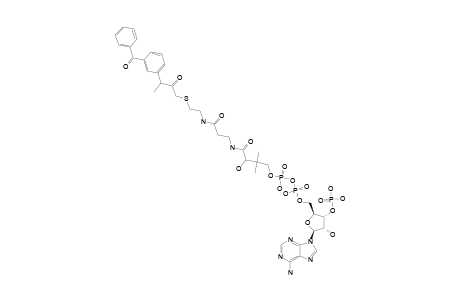 3-(3-BENZOYLPHENYL)-2-OXO-BUTANOYL-COA