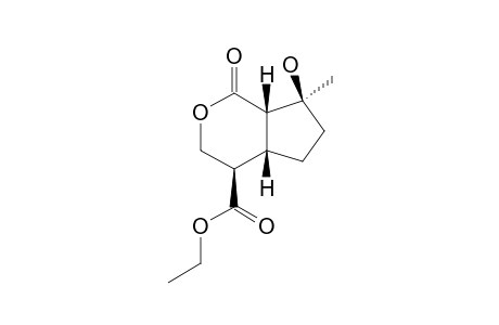 MUSSAENIN-B