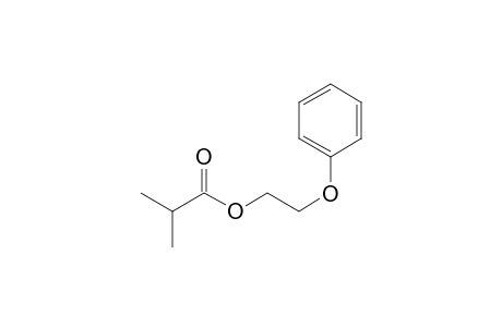 2-Phenoxyethyl isobutyrate