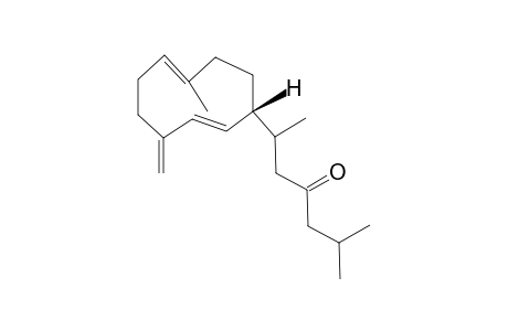 LOBOPHYTUMIN_B