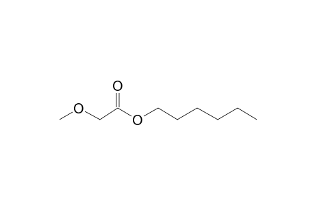 Methoxyacetic acid, hexyl ester