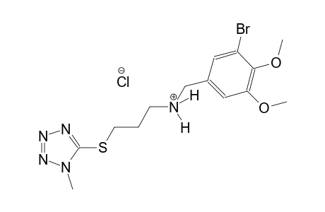 benzenemethanaminium, 3-bromo-4,5-dimethoxy-N-[3-[(1-methyl-1H-tetrazol-5-yl)thio]propyl]-, chloride