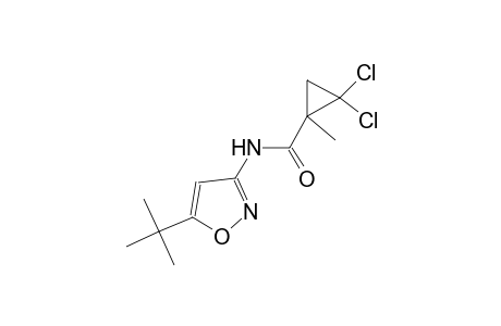 N-(5-tert-butyl-3-isoxazolyl)-2,2-dichloro-1-methylcyclopropanecarboxamide