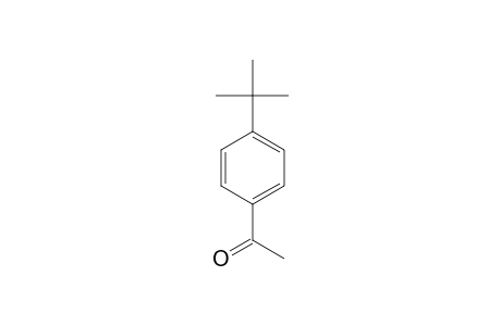 4'-tert-Butyl-acetophenone