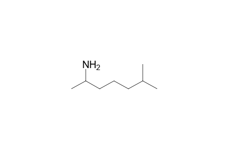 1,5-Dimethylhexylamine