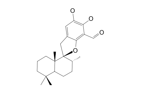 CORALLIDICTYAL_C