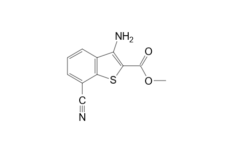 3-amino-7-cyanobenzo[b]thiophene-2-carboxylic acid, methyl ester