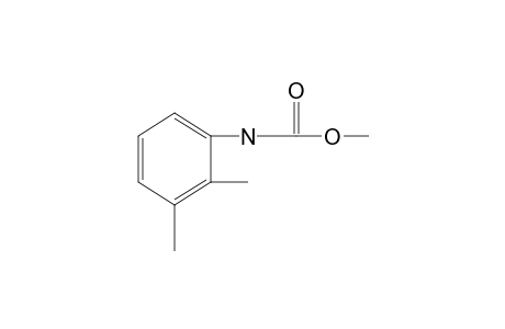 2,3-Dimethylcarbanilic acid, methyl ester