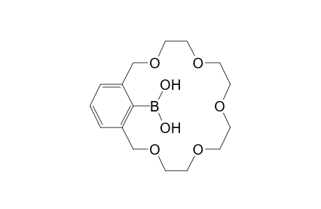 3,6,9,12,15-Pentaoxabicyclo[15.3.1]henicosa-1(21),17,19-trien-21-ylboronic acid