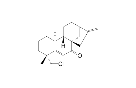 19-chloro-7-oxo-ent-kaur-5,16-diene