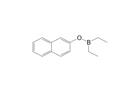 Borinic acid, diethyl-, 2-naphthalenyl ester