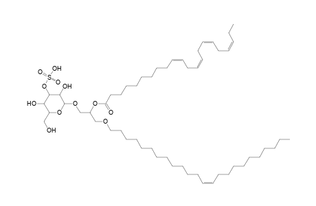 SMGDG O-24:1_22:4