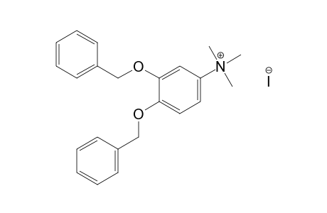 [3,4-bis(benzyloxy)phenyl]trimethylammonium iodide