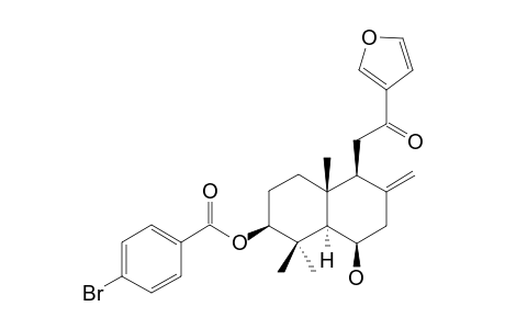 15,16-EPOXY-3-BETA,6-BETA-DIHYDROXY-LABDA-8(17),13(16),14-TRIEN-12-ONE-3-BETA-O-PARA-BrOMOBENZOYL