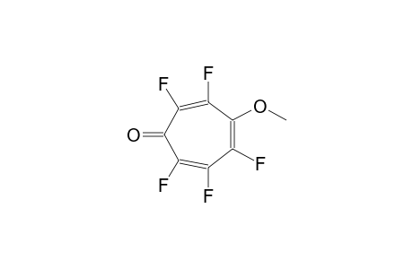 4-METHOXYPENTAFLUOROTROPONE