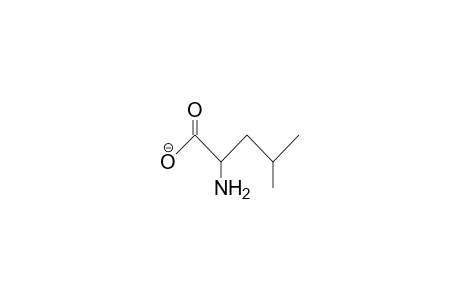 L-Leucine anion