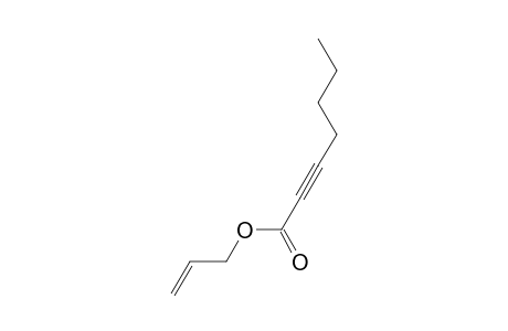 Allyl hept-2-ynoate