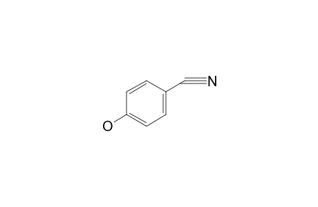 4-Hydroxy-benzonitrile