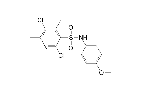 2,5-Dichloro-4,6-dimethyl-pyridine-3-sulfonic acid (4-methoxy-phenyl)-amide