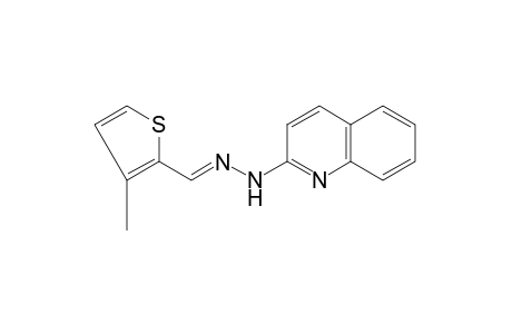 3-methyl-2-thiophenecarboxaldehyde, (2-quinolyl)hydrazone