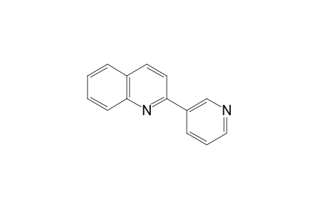 2-(3-pyridyl)quinoline