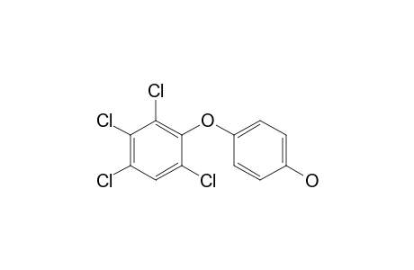 4-(2',4',5',6'-Tetrachlorophenoxy)phenol