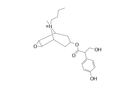 Butylscopolamine-M (HO-aryl) MS2