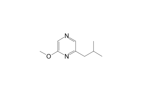 2-METHOHY-6-(2-METHYLPROPYL)-PYRAZINE