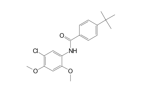 4-tert-butyl-5'-chloro-2',4'-dimethoxybenzanilide