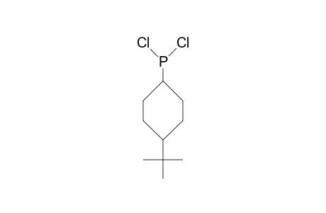 4-cis-tert-Butyl-cyclohexyl phosphonous dichloride