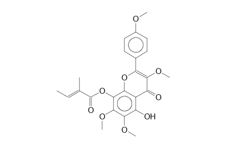 7-O-METHYL-PRATENSIN A