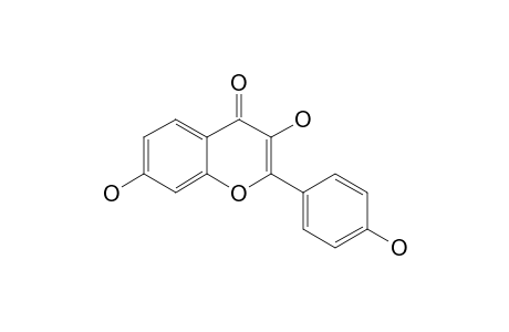 3,7,4'-Trihydroxyflavone