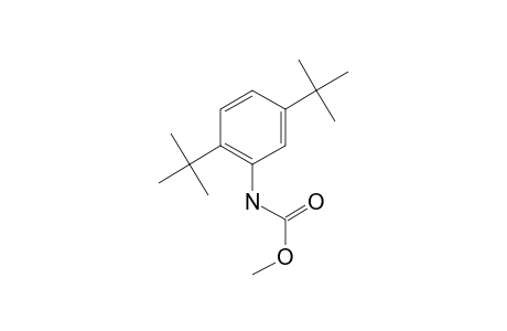 2,5-di-Tert-butylaniline, N-methoxycarbonyl-