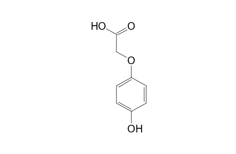 4-Hydroxyphenoxyacetic acid