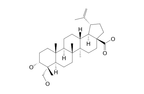 3-alpha,23-Dihydroxy-lup-20(29)-en-28-oic-acid