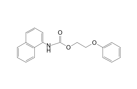 1-NAPHTHALENECARBAMIC ACID, 2-PHENOXYETHYL ESTER
