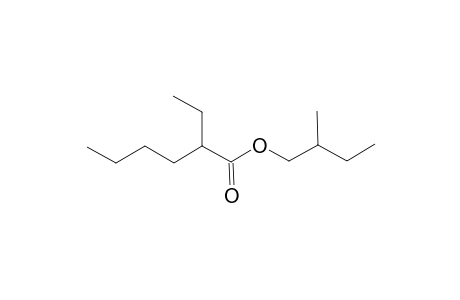 2-Methylbutyl 2-ethylhexanoate