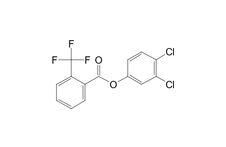 2-Trifluoromethylbenzoic acid, 3,4-dichlorophenyl ester