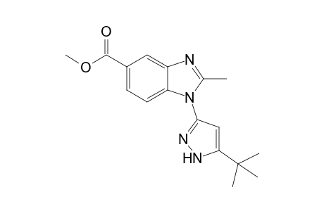 Methyl 1-(5-tert-butyl-1H-pyrazol-3-yl)-2-methyl-1H-benzimidazole-5-carboxylate