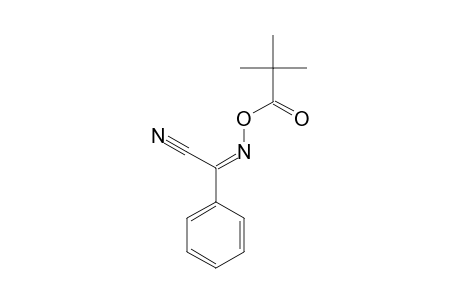 Benzeneacetonitrile, alpha-[(2,2-dimethyl-1-oxopropoxy)imino]-