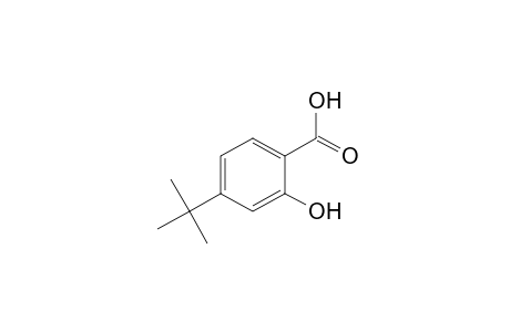 4-tert-butylsalicylic acid