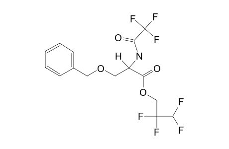 o-Benzyl-D-serine, N-trifluoroacetyl-, 2,2,3,3-tetrafluoro-1-propyl ester