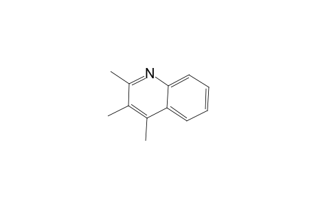 2,3,4-Trimethyl-quinoline