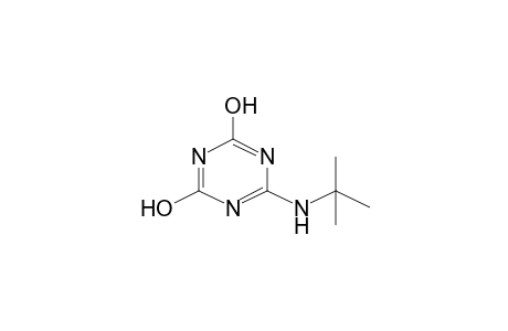 6-(tert-butylamino)-1,3,5-triazine-2,4(1H,3H)-dione